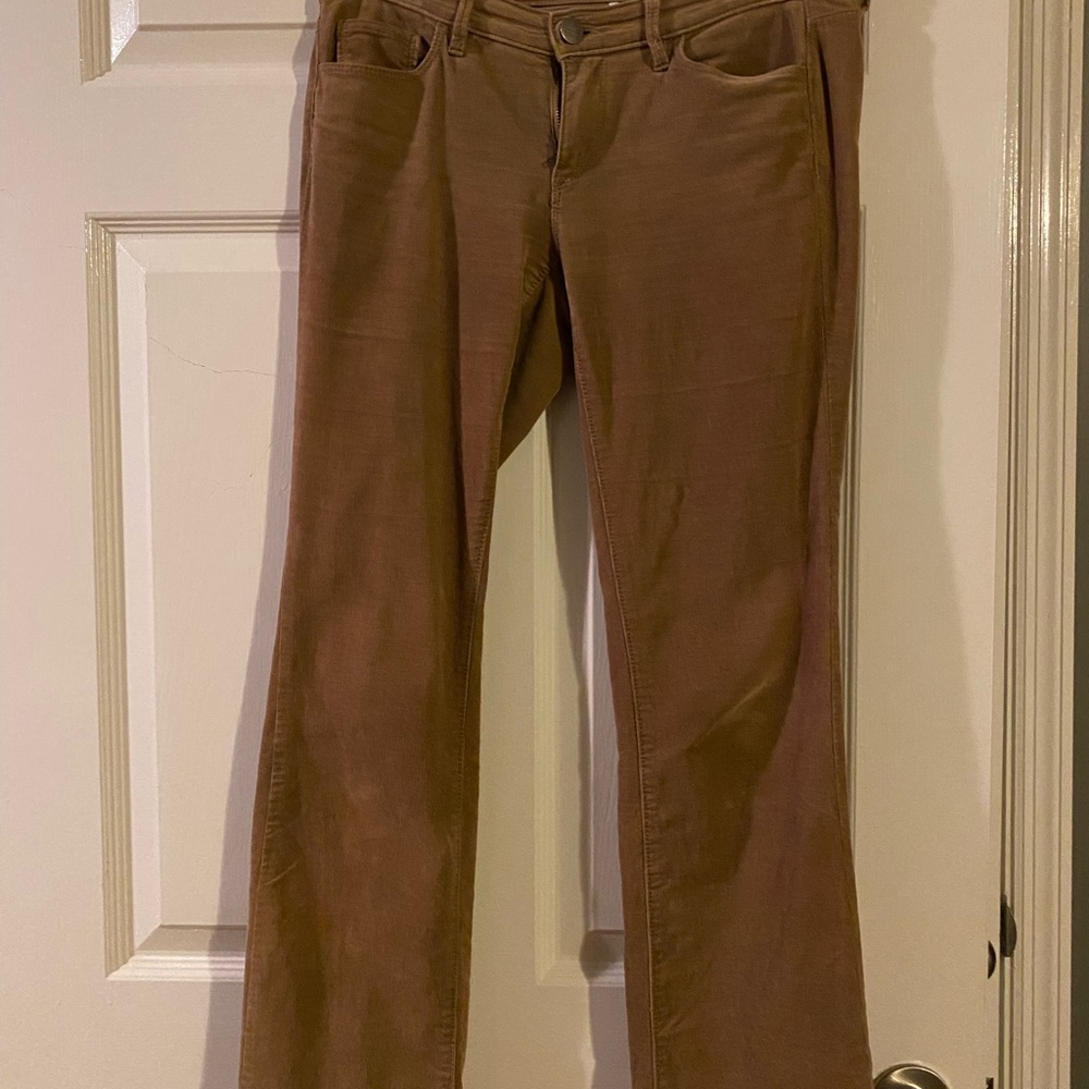 LOFT Tan Modern Bootcut Pants